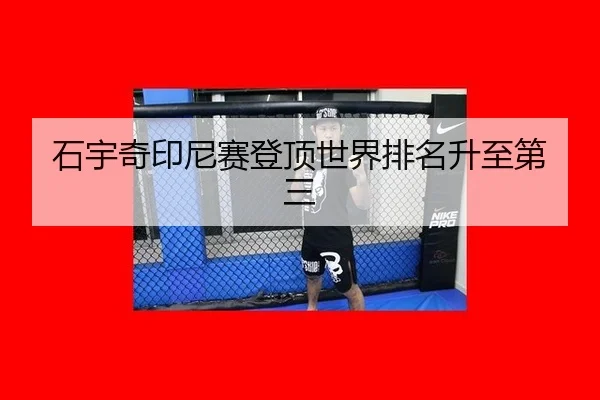 shi-yu-qi-yin-ni-sai-deng-ding-shi-jie-pai-ming-sheng-zhi-di-san-3-988.jpg